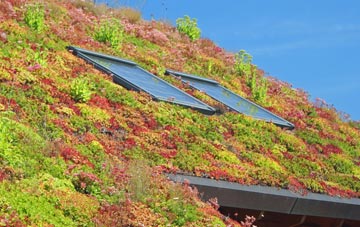 Mentmore living roof systems